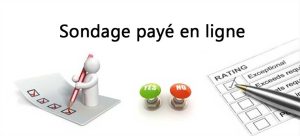 Logo sondage